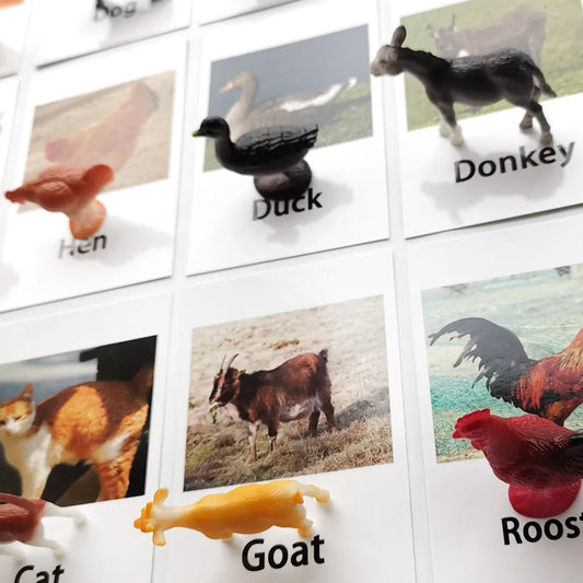Wondermonti Animal Flash: Learning and Matching Cards for Kids